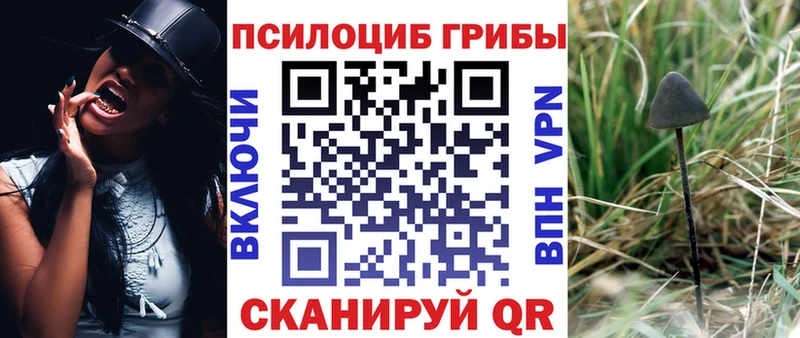 где купить   omg онион  Псилоцибиновые грибы мухоморы  Каспийск 