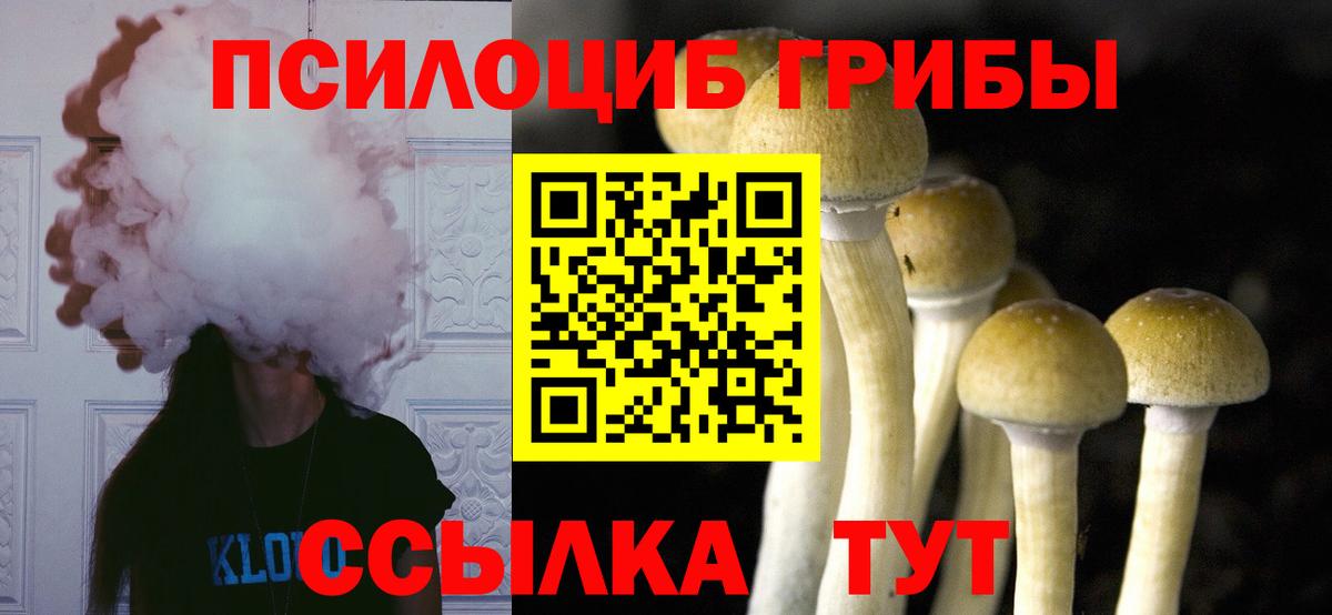 Каспийск  Галлюциногенные грибы Psilocybe  Вход с VPN 